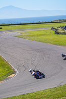 anglesey-no-limits-trackday;anglesey-photographs;anglesey-trackday-photographs;enduro-digital-images;event-digital-images;eventdigitalimages;no-limits-trackdays;peter-wileman-photography;racing-digital-images;trac-mon;trackday-digital-images;trackday-photos;ty-croes
